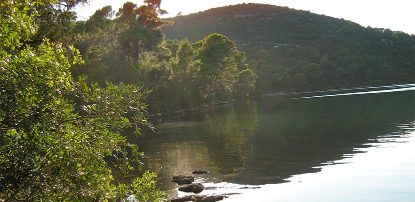 dubrovnik-region-fortuna-yachting-mljet
